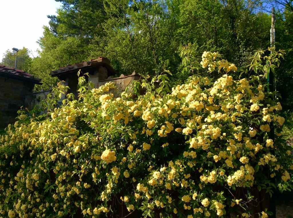 Bed Breakfast La Paggeria Trespiano Exterior foto